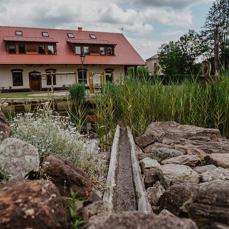 Penzion U Skutilu Pilníkov エクステリア 写真